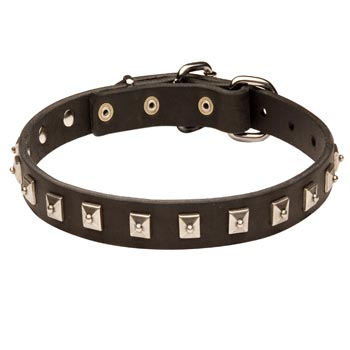 Dog Walking 
Leather Collar with Studs