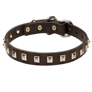 Dog Walking 
Leather Collar with Studs