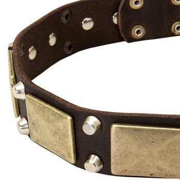 Leather Dog Collar with Nickel Studs