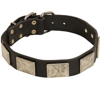 Walking Leather Dog Collar