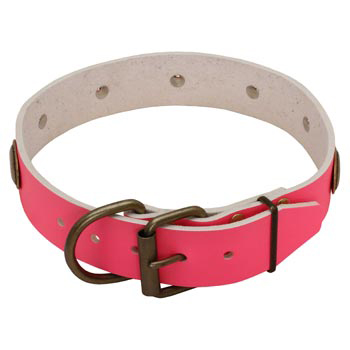 Fashion Pink Leather Dog Collar