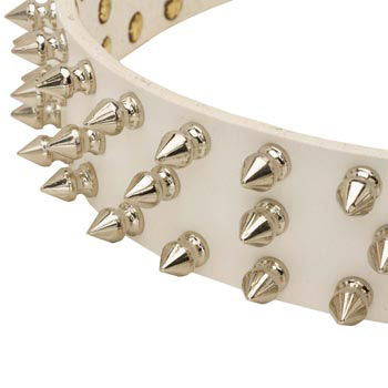 Spiked White Leather Collar for Dog Walking