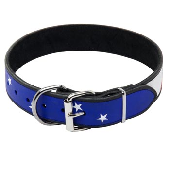 Dog Leather Collar With American
Flag Painting