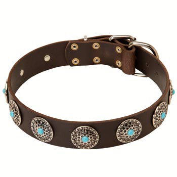 Leather Dog Collar