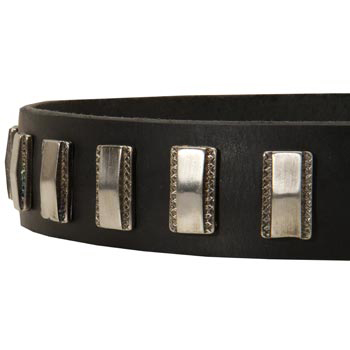 Stylish Leather Collar with Vintage Plates for Dog