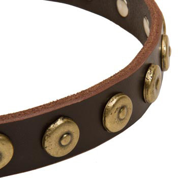 Dog Collar with Stylish Circles