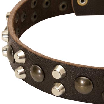 Leather Dog Collar with Hand Set Studs