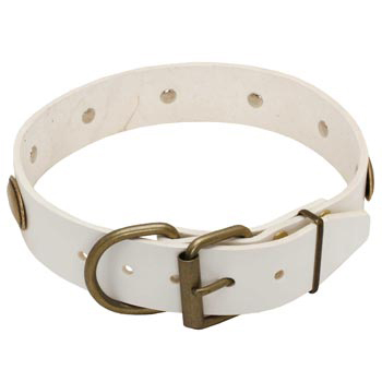 White Leather Dog Collar for Dog Stylish Walks