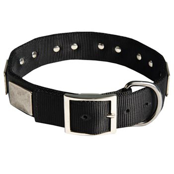 Designer Nylon Dog Collar Wide with Easy Release Buckle for 
Dog