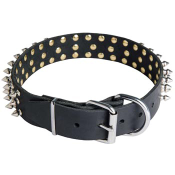 Spiked Buckle Collar for Dog