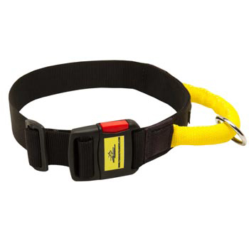 Nylon Dog Collar with Quick Release Buckle