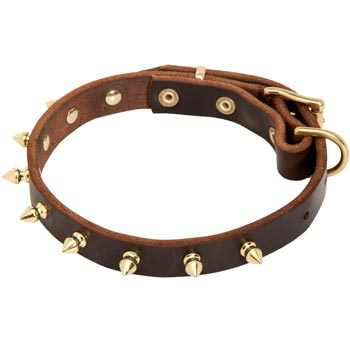 Leather Dog Collar with Brass Spikes