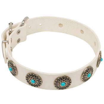 Leather Dog Collar White Exclusive for 
Dog Walking