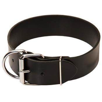 Dog Leather Collar of Extra Width