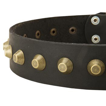 Leather Dog Collar with Brass Pyramids for Dog