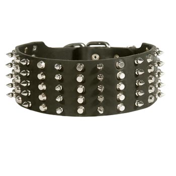 Dog Spiked Studded
Leather Collar