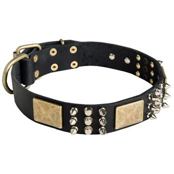 Stylish Wide Leather Dog Collar for Dog Walking