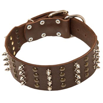 Leather Collar for Dog Walking in Style 