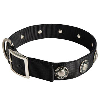 Dog Dog Nylon Collar Steel Nickel Plated Conchos