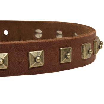 Dog Leather Collar With Square Studs