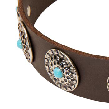 Blue-Stones Leather Dog Collar