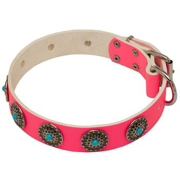 Safe Walking Leather 
Dog Сollar Pink Studded