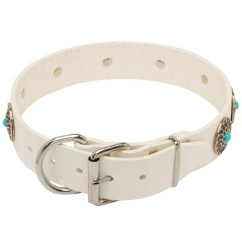 Leather Dog Collar White Fancy for Dog Training, Walking