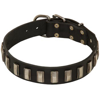 Walking Leather Dog Collar 