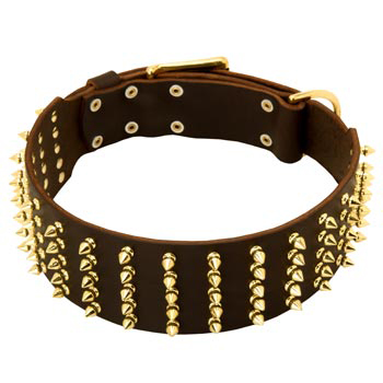 Fashionable Spiked Leather Dog Collar