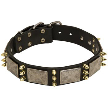 Vintage Leather Collar for Dog