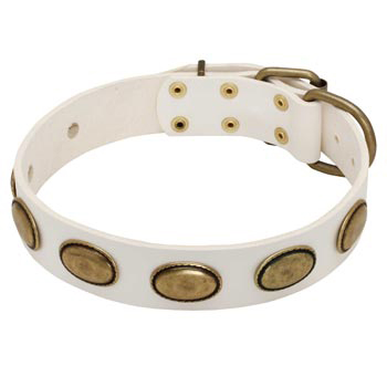 White Leather Dog Collar with Vintage Oval Plates