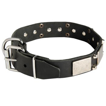 Leather Buckle Collar for Dog Walking