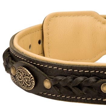  Leather Walking Fashion Collar for Dog