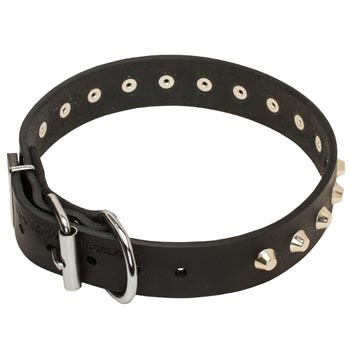 Training Walking Leather Dog Collar with Buckle for Dog