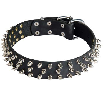 Leather Dog Collar with Spikes