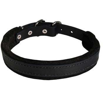 Dog Collar Leather for Dog Protection Attack Training