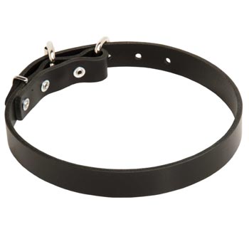Leather Collar for Dog Training