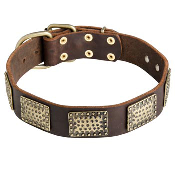 Leather Dog Collar with Vintage Plates