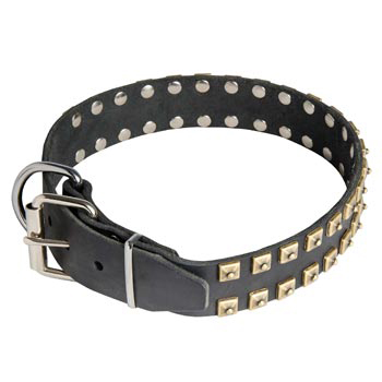 Leather Dog Collar with Solid Rivets