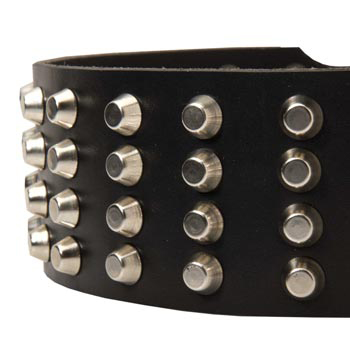 Leather Dog Collar with Studs for 
Dog