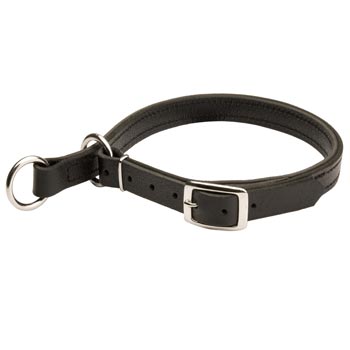 Dog Obedience Training Choke
Leather Collar
