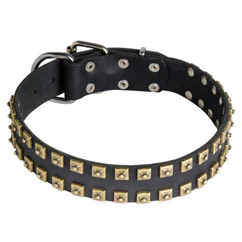 Leather Dog Collar with Firm Studs