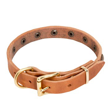 Dog Leather Collar with Studs