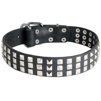 Studded Dog Collar