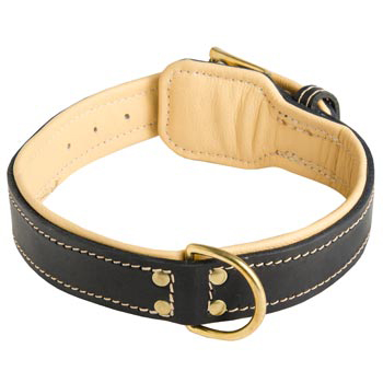 Leather Dog Collar Padded for Dog Off Leash Training