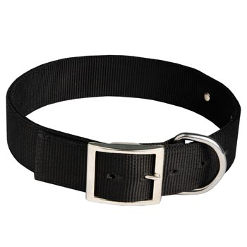 Dog Training Collar with ID Tag