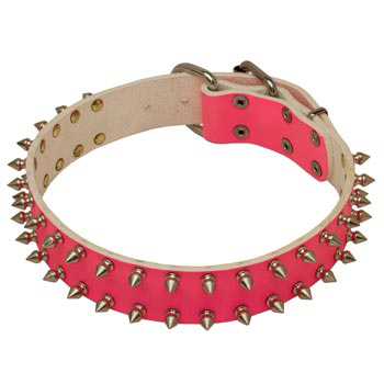 Spiked Pink Leather She-Dog Collar for Dog Walking