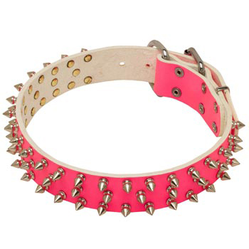 Pink Leather Collar for Dog She-Dogs