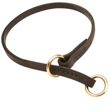 Dog Obedience Training Choke
Leather Dog Collar