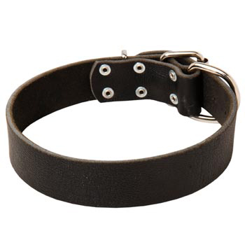 Unbelievable Dog Strict Style Leather Collar